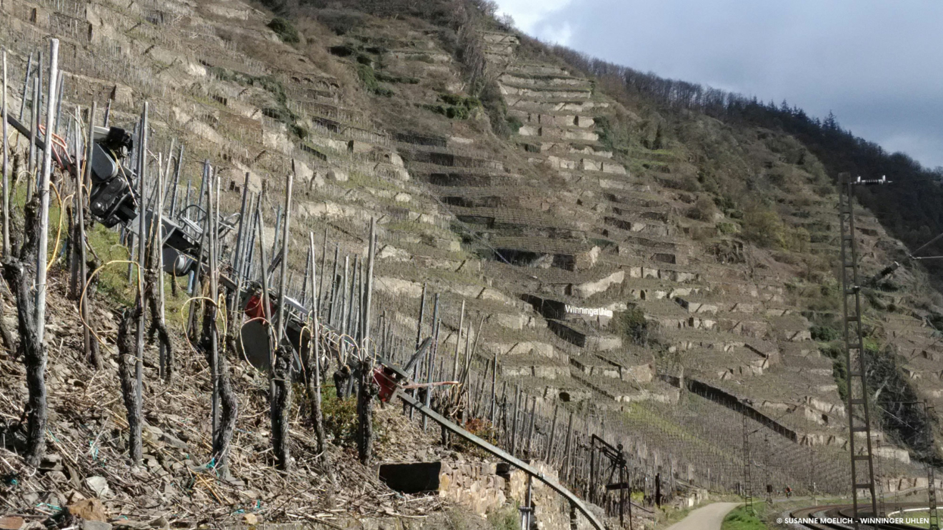 Trockenmauerbaukurs © Regionalinitiative Faszination Mosel