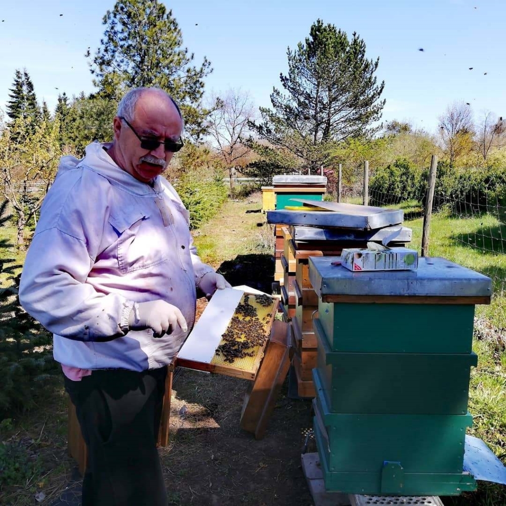 Imkern und Bienenhaltung für Anfänger