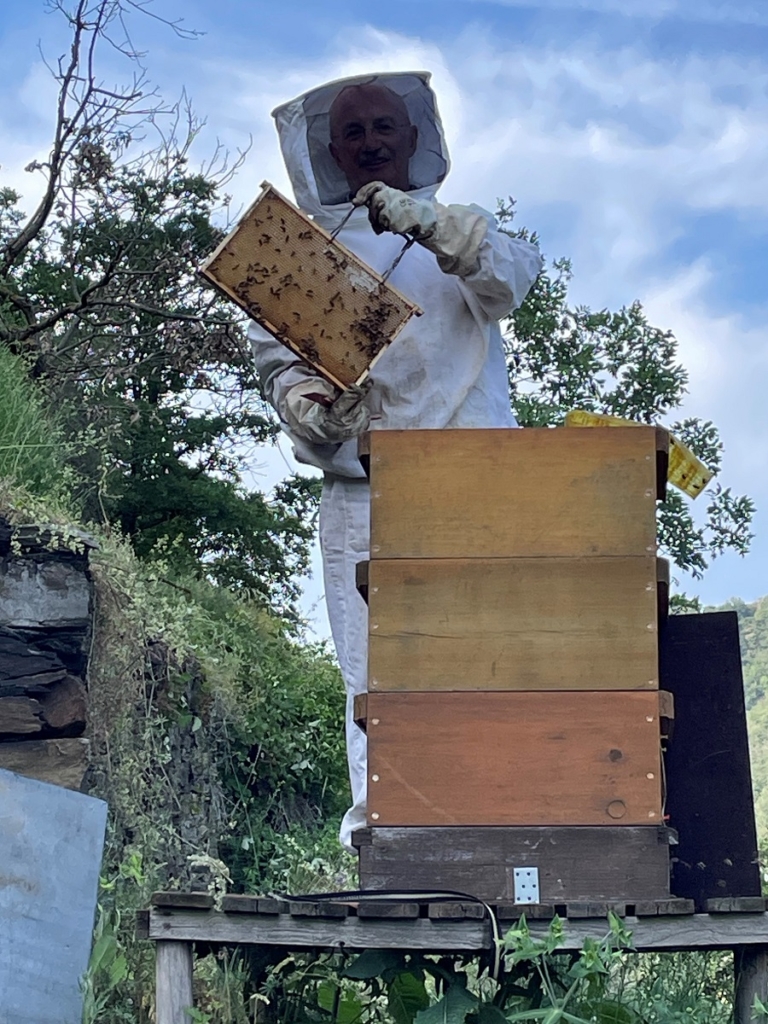Besonderer Honig aus dem Würzlaygarten der Razejunge