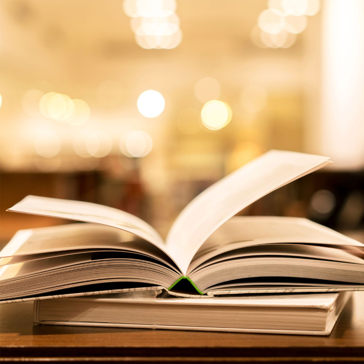 Faszination Mosel - Faszination Kultur - Literatur