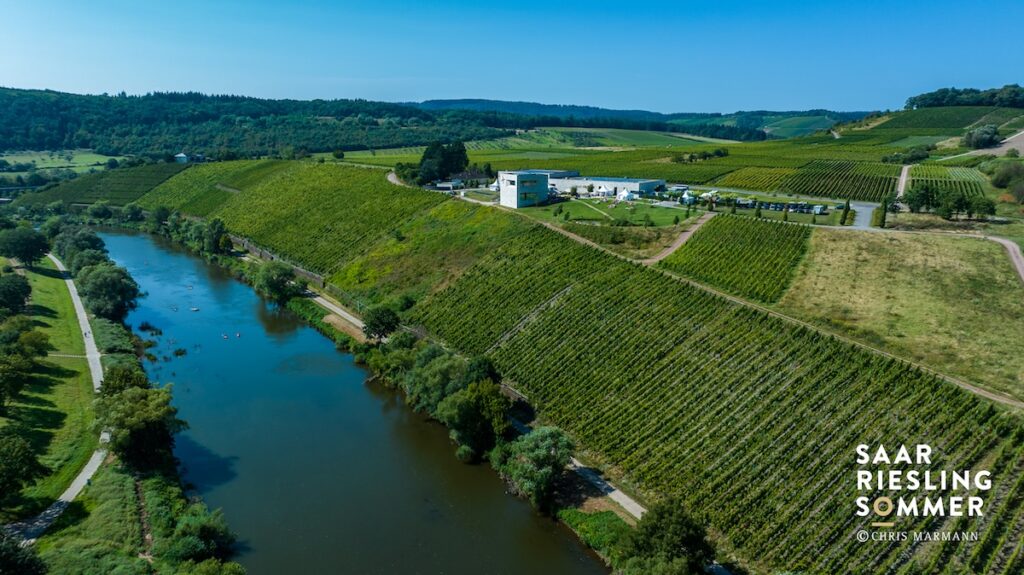 SaarRieslingSommer: Internationale Weinreise an der Saar