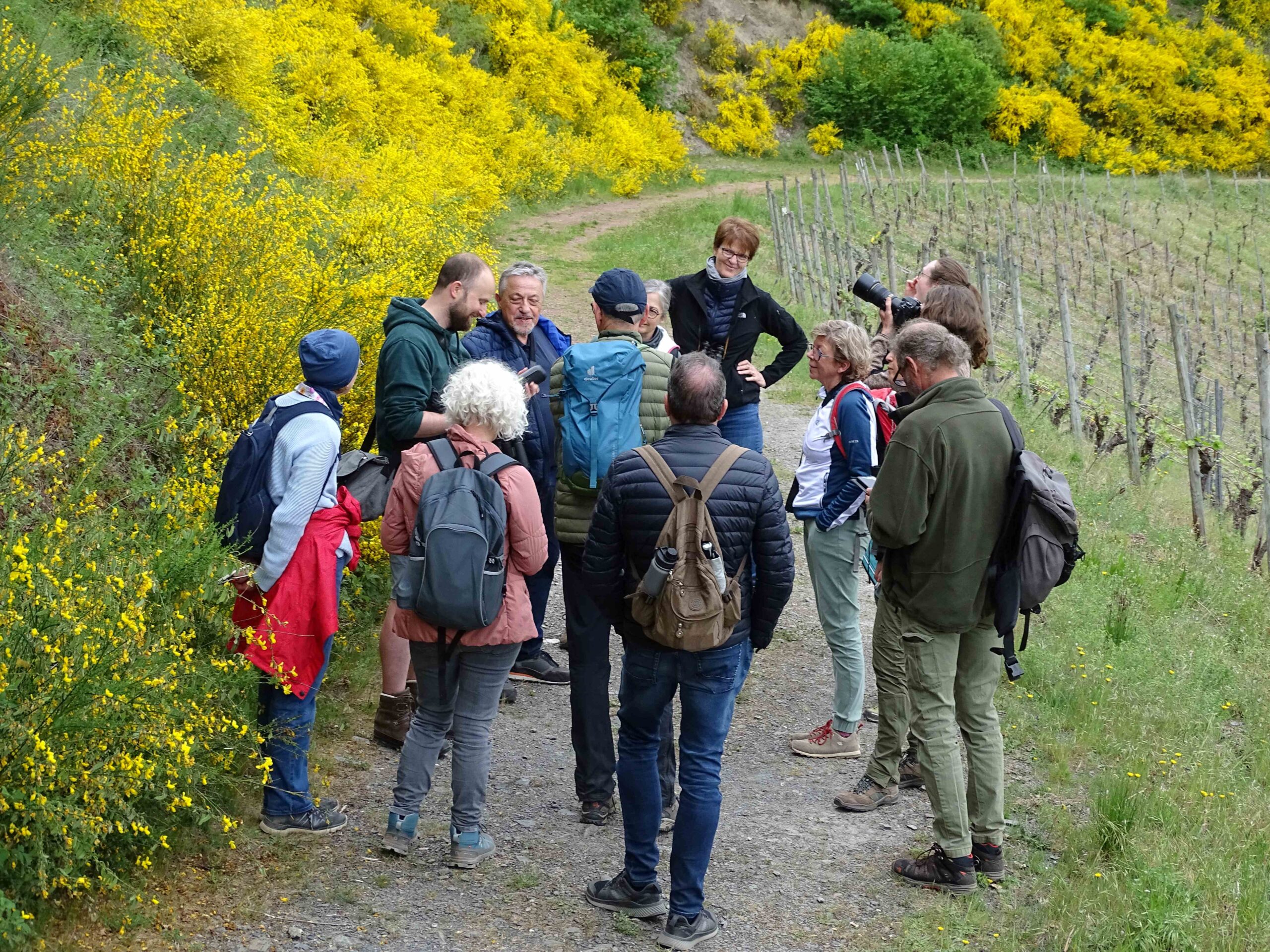 Interessensabfrage: Ausbildung zum Naturerlebnisbegleiter
