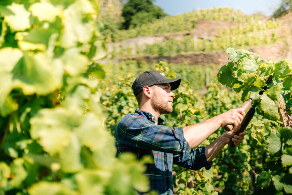 Internationale Bühne für Steillagenweine: Anmeldung zum „Mondial des Vins Extrêmes 2026“ geöffnet
