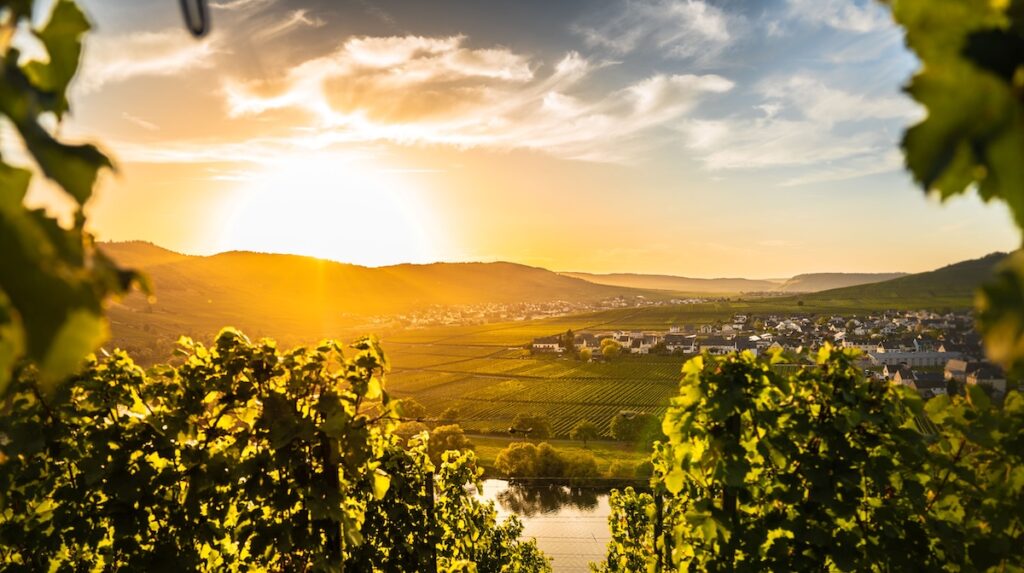 Mehr als eine neue Website: Die Mosellandtouristik GmbH startet mit einer zukunftsfähigen digitalen Plattform